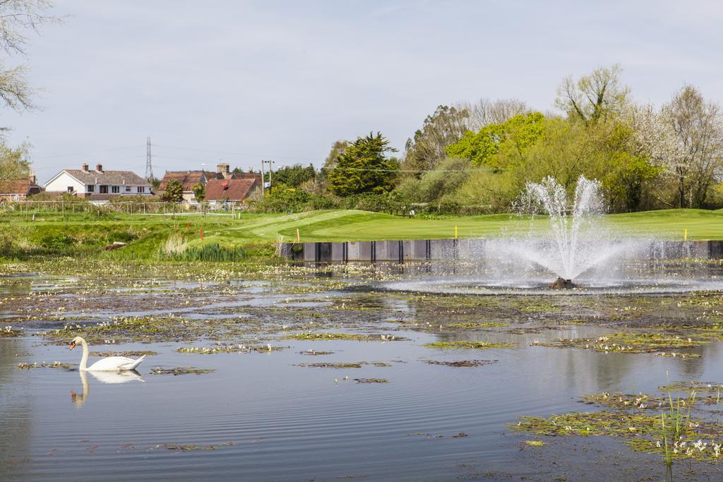 Dudsbury Golf Club - Hotel And Spa Ferndown Dış mekan fotoğraf